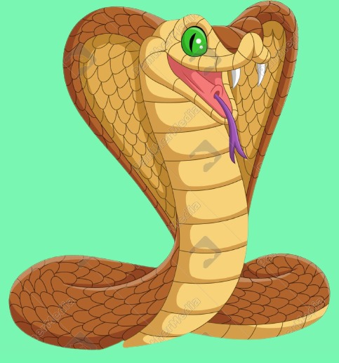 snakephoto